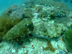 e0184067_1723199.jpg