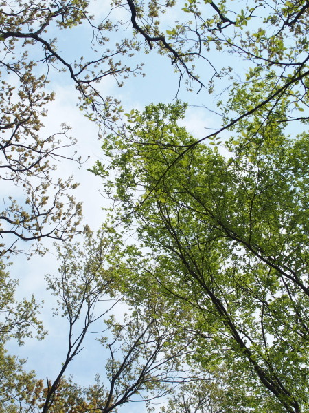 c0122670_20031811.jpg