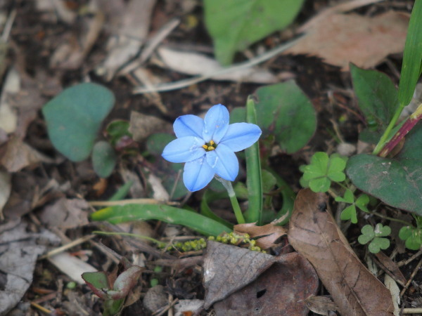 c0122670_20101721.jpg