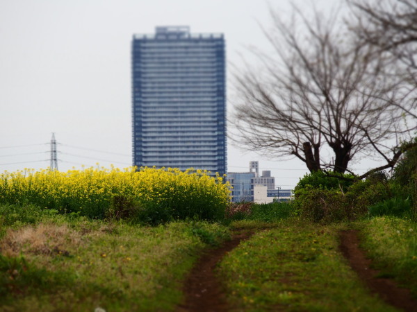 c0122670_20101730.jpg
