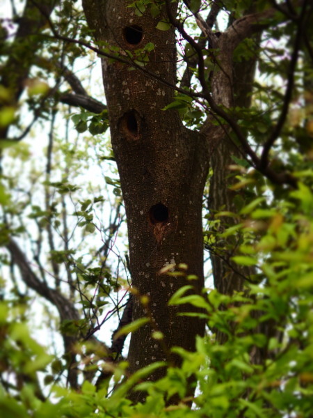 c0122670_20101765.jpg