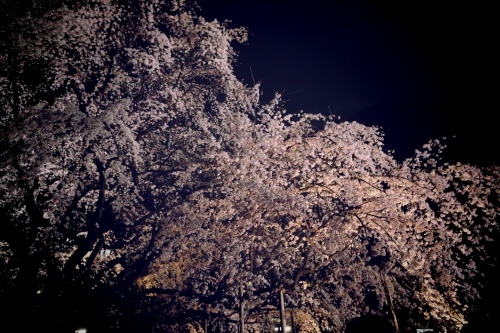 c0210275_16220351.jpeg