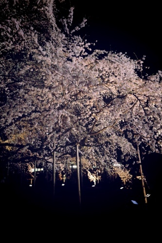 c0210275_16221447.jpeg