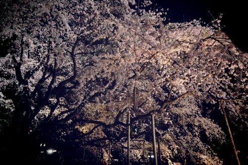c0210275_16222985.jpeg
