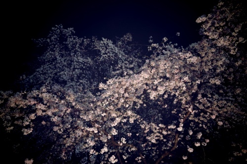 c0210275_16230898.jpeg