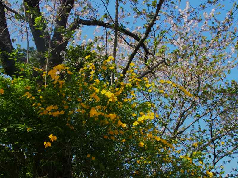 c0183777_17472633.jpg