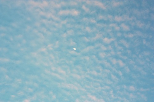 c0204385_22130391.jpg