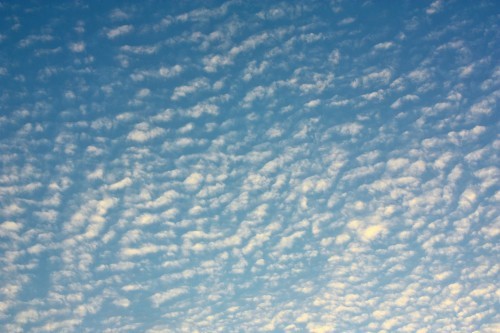 c0204385_22145920.jpg