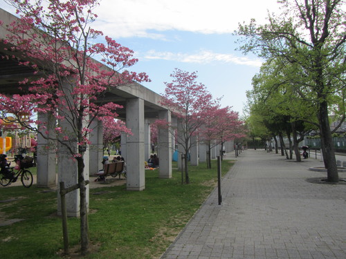 a0251786_20324091.jpg
