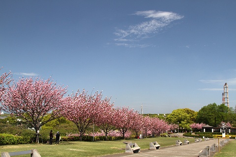 a0222494_19373098.jpg