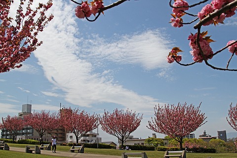 a0222494_19375991.jpg