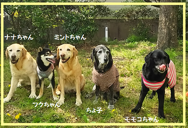 d0282395_22505231.png