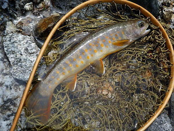 c0339900_7371159.jpg
