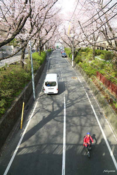 f0185802_17123267.jpg