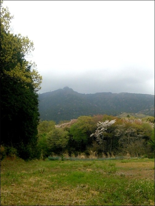 b0086909_17215148.jpg