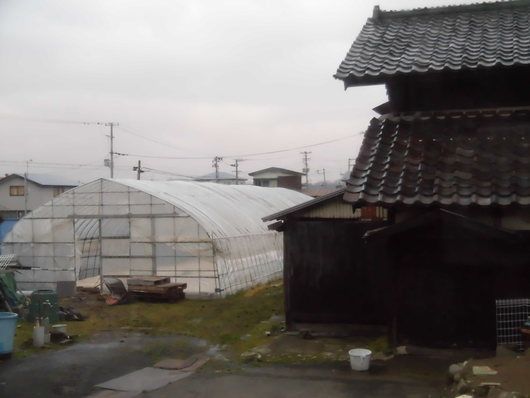 b0035611_21135948.jpg