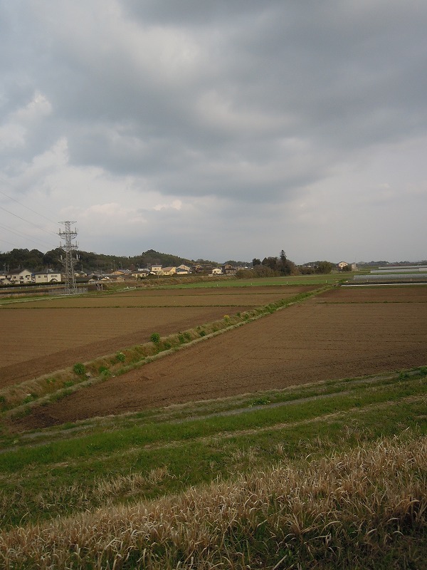 b0153213_20375823.jpg