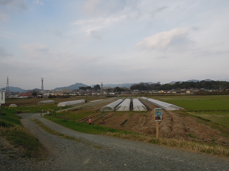 b0153213_20383337.jpg