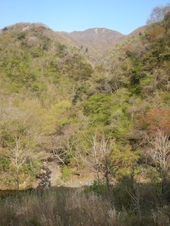 c0359615_09481812.jpg