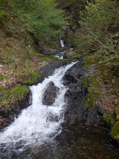 c0359615_09482699.jpg