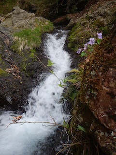 c0359615_09483789.jpg