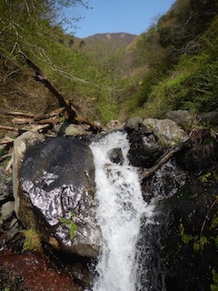 c0359615_09485087.jpg