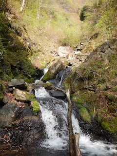 c0359615_09490491.jpg