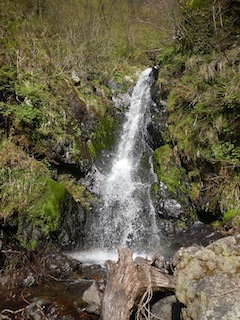 c0359615_09492145.jpg