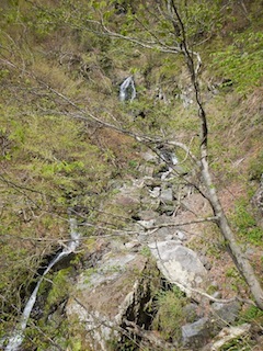c0359615_09493919.jpg