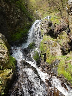 c0359615_09500377.jpg