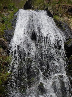 c0359615_09510291.jpg