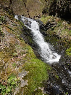 c0359615_09511132.jpg