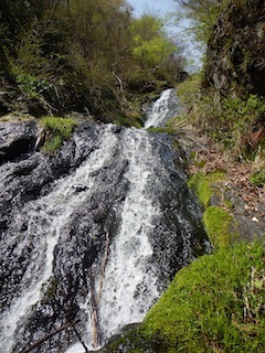 c0359615_09512401.jpg
