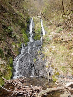 c0359615_09513883.jpg