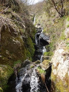 c0359615_09521690.jpg