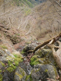 c0359615_09531927.jpg