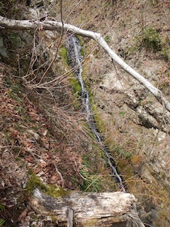 c0359615_09533899.jpg