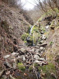 c0359615_09535644.jpg