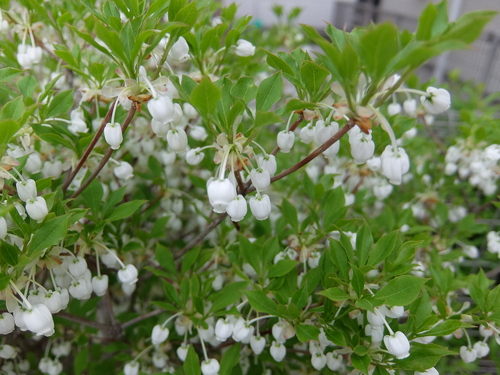 f0128821_21231124.jpg
