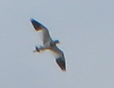c0280322_00510916.jpg