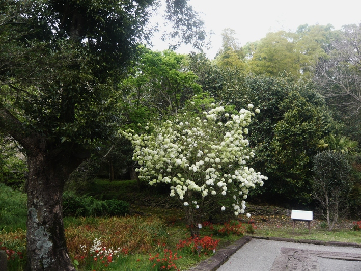 a0206332_16345538.jpg