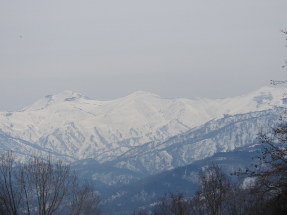f0118332_034691.jpg