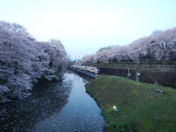 f0118332_061878.jpg