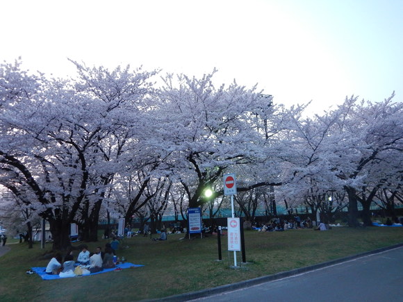 f0118332_065229.jpg