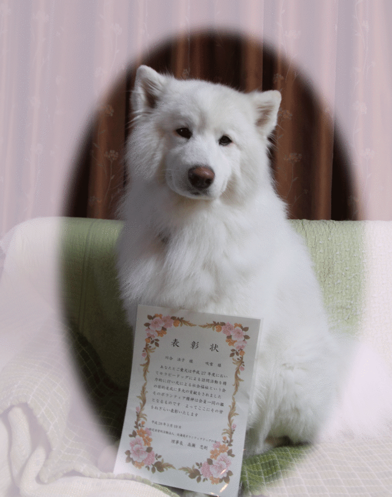 d0069235_13424045.gif