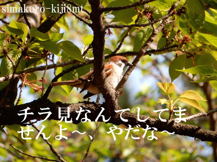 f0247039_181637.jpg