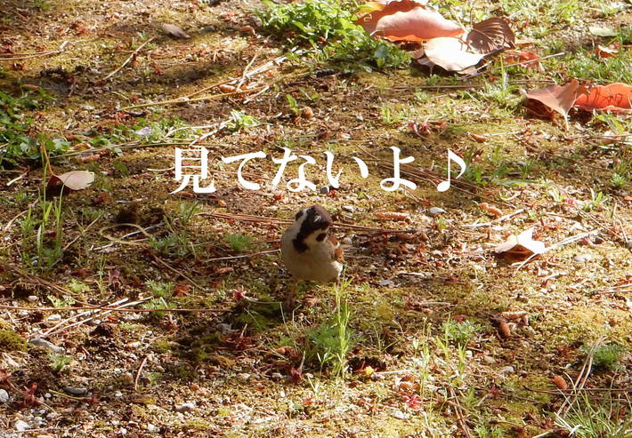 f0247039_1831790.jpg