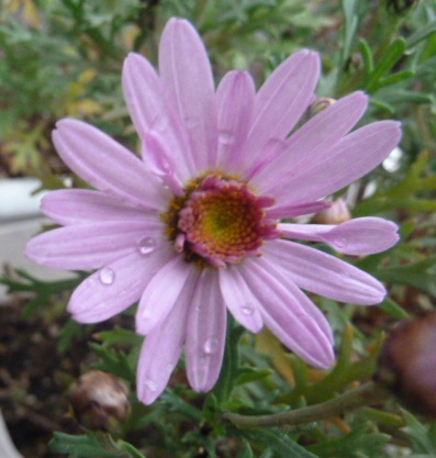 e0278968_21531153.jpg