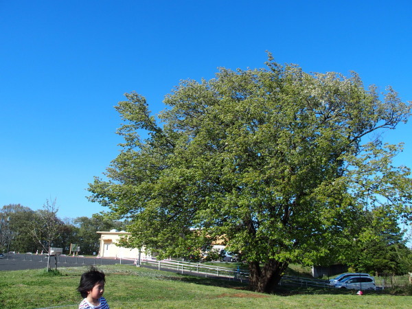c0122670_23383911.jpg