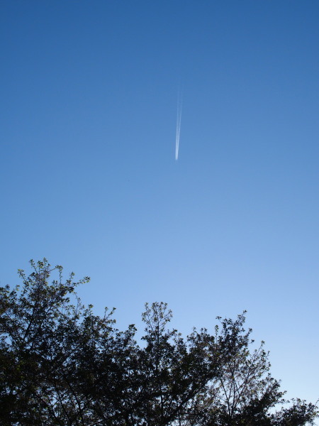 c0122670_23383937.jpg